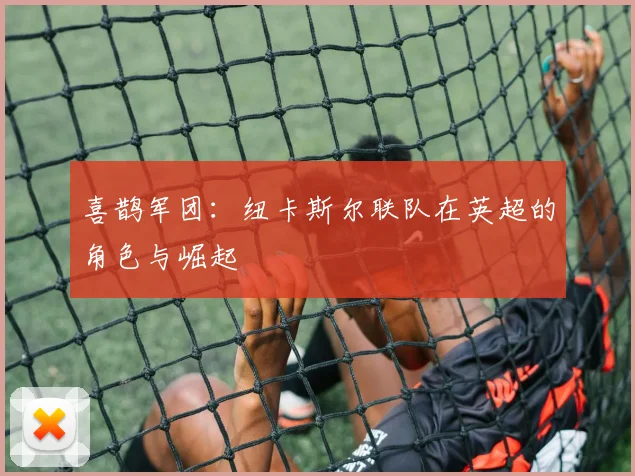 喜鹊军团：纽卡斯尔联队在英超的角色与崛起