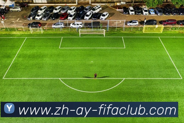 世界杯直播品牌故事