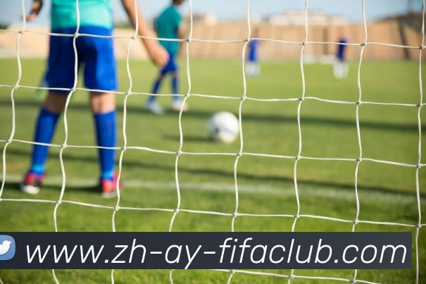 世界杯直播服务体系