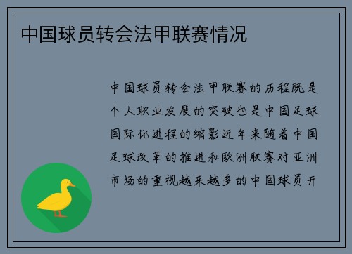 中国球员转会法甲联赛情况