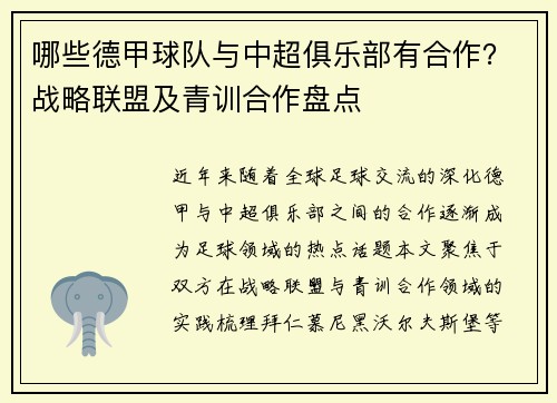 哪些德甲球队与中超俱乐部有合作？战略联盟及青训合作盘点